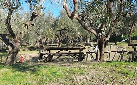 Agriturismo Cele